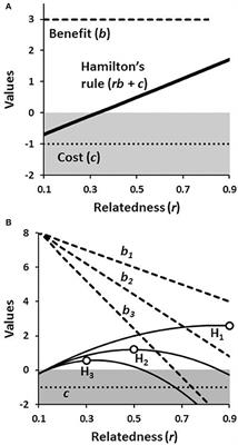 Go High or Go Low? Adaptive Evolution of High and Low Relatedness Societies in Social Hymenoptera